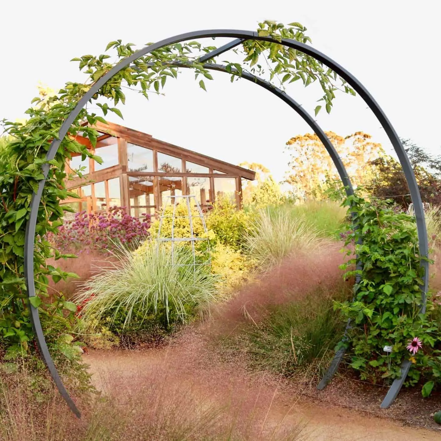 Gracie Modern Arbor