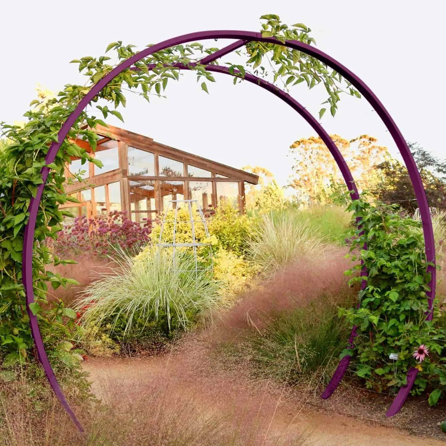 Gracie Modern Arbor